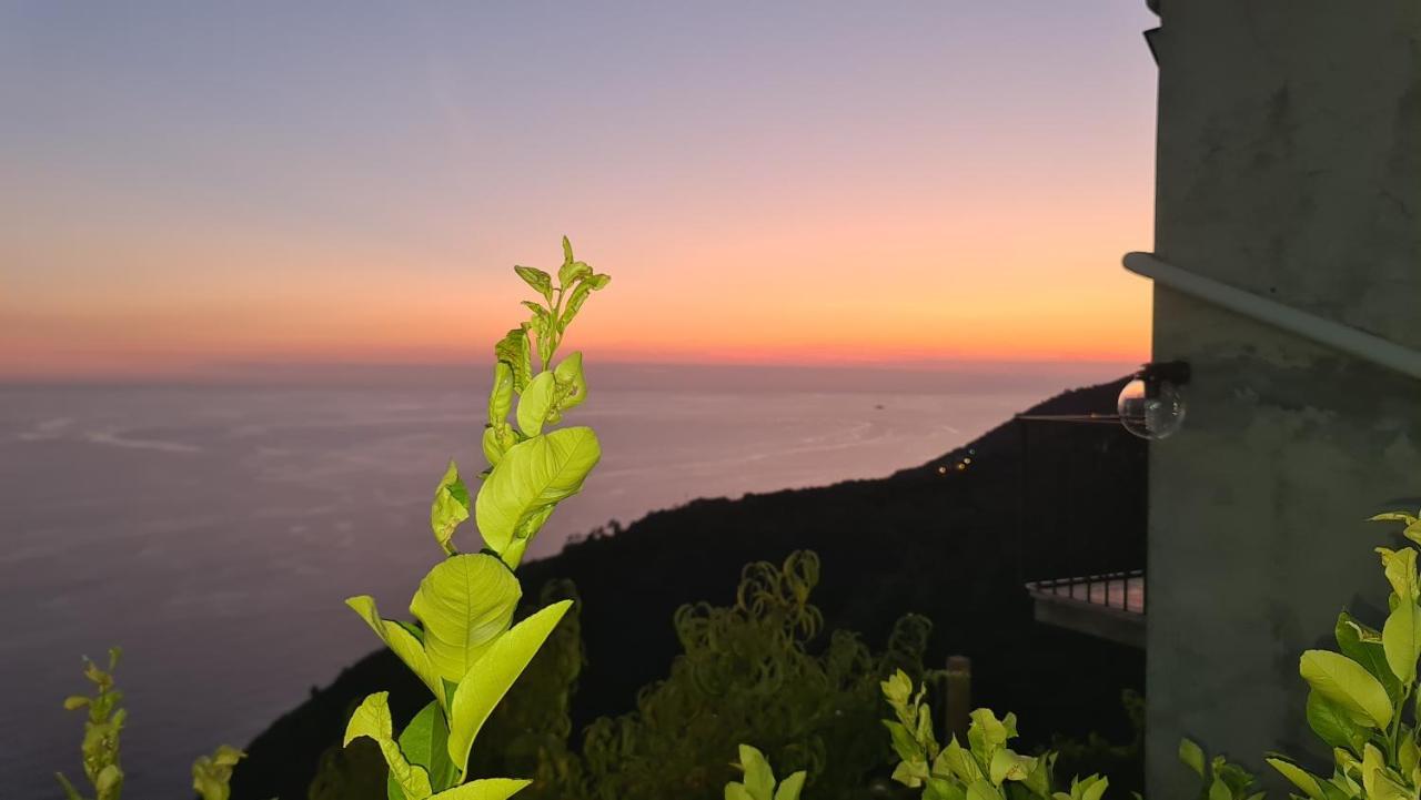 Sunset - Homy 5 Terre Retreat Apartment Biassa Exterior foto